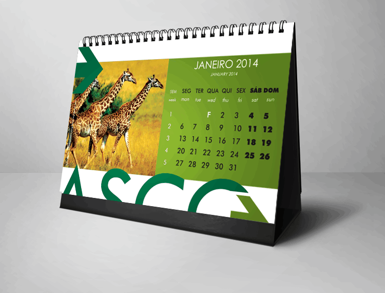 Asco | Branding & Merchandising